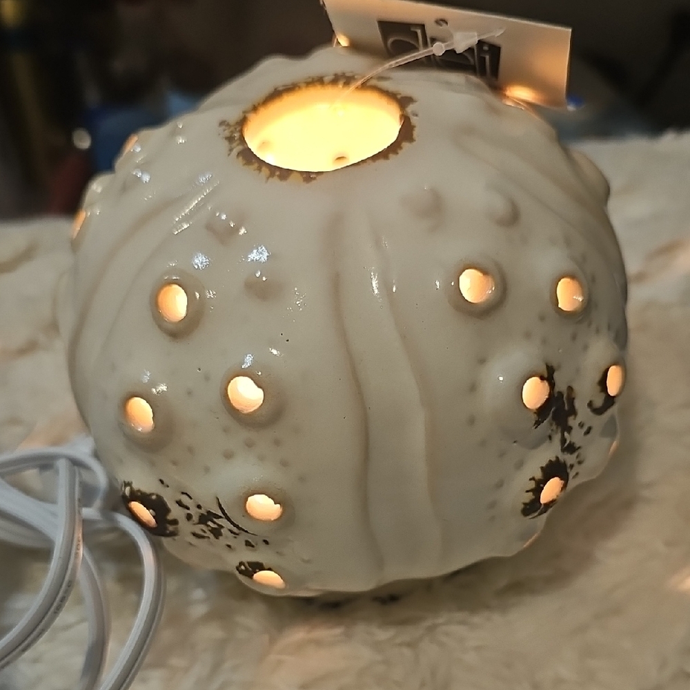 Set Of 2 Ivory Ceramic Sea Urchin Light